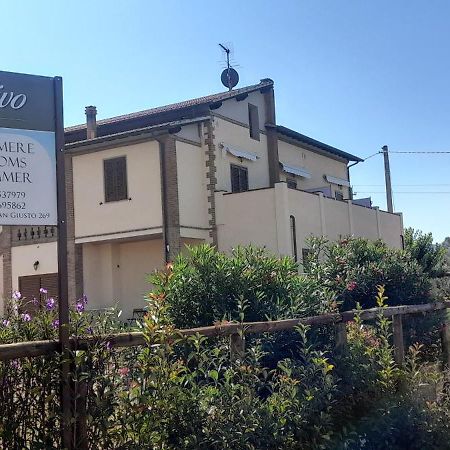 Agriturismo Il Vecchio Olivo Castagneto Carducci Exterior photo