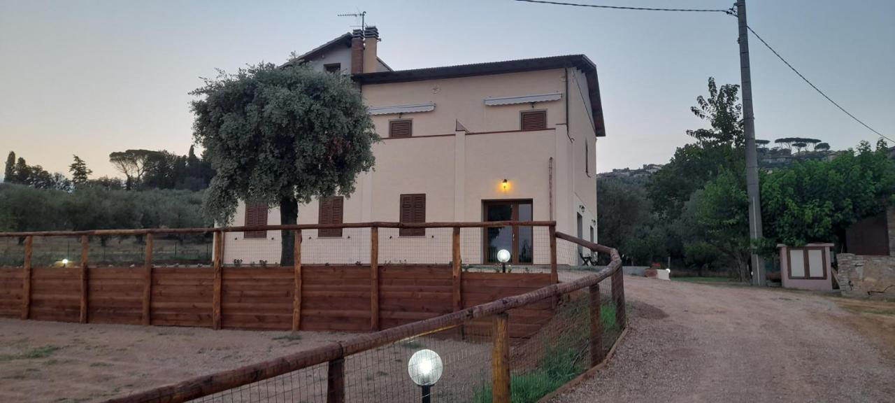 Agriturismo Il Vecchio Olivo Castagneto Carducci Exterior photo