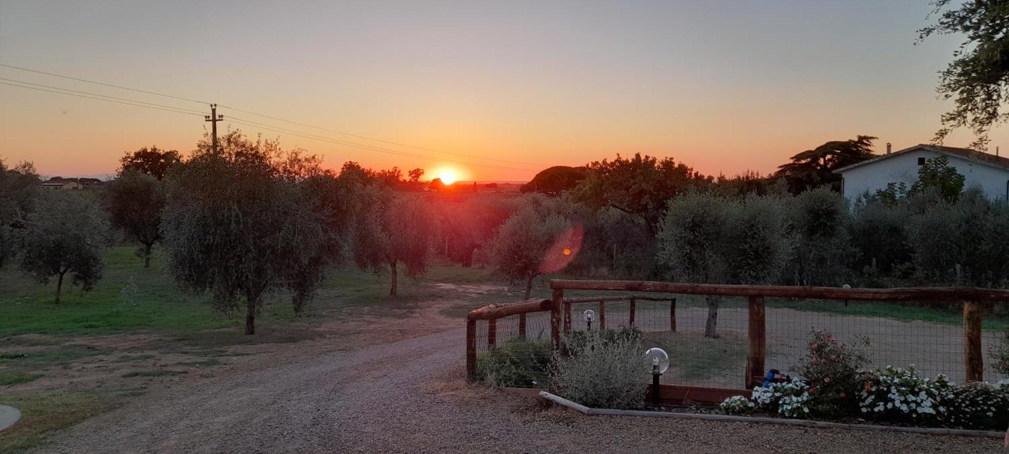 Agriturismo Il Vecchio Olivo Castagneto Carducci Exterior photo